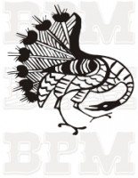 /album/vtaky/vtaky-12-jpg/